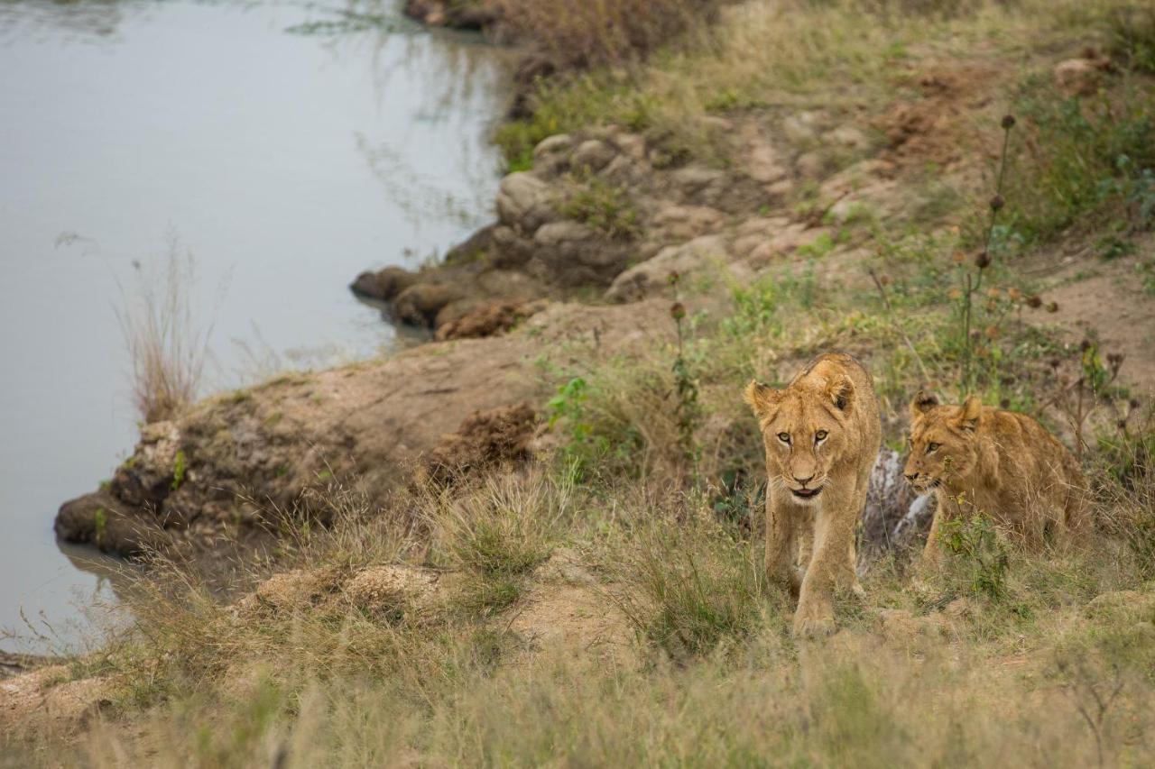 Hamiltons Tented Camp Mluwati Concession Buitenkant foto