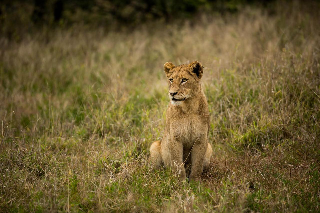 Hamiltons Tented Camp Mluwati Concession Buitenkant foto
