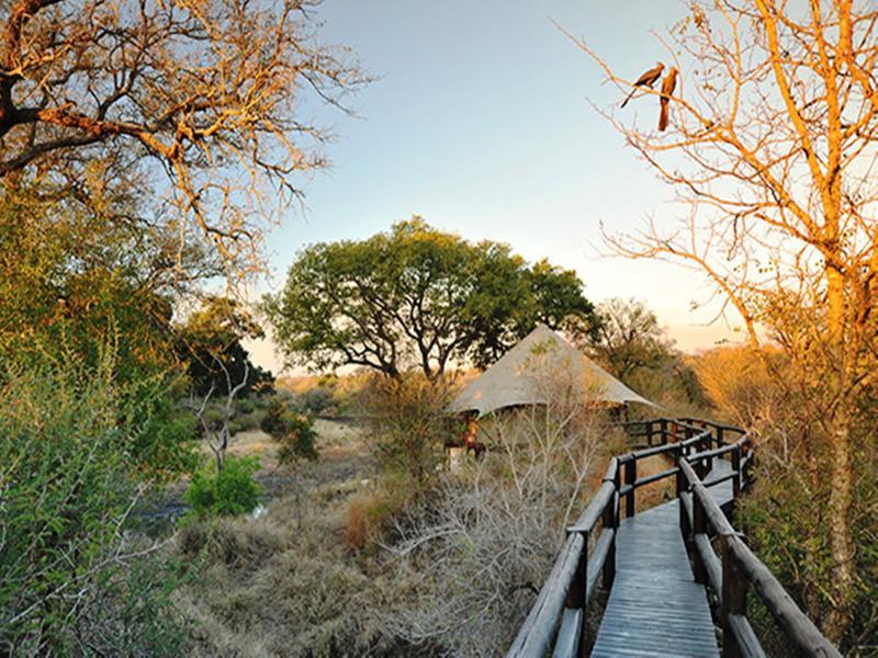 Hamiltons Tented Camp Mluwati Concession Buitenkant foto