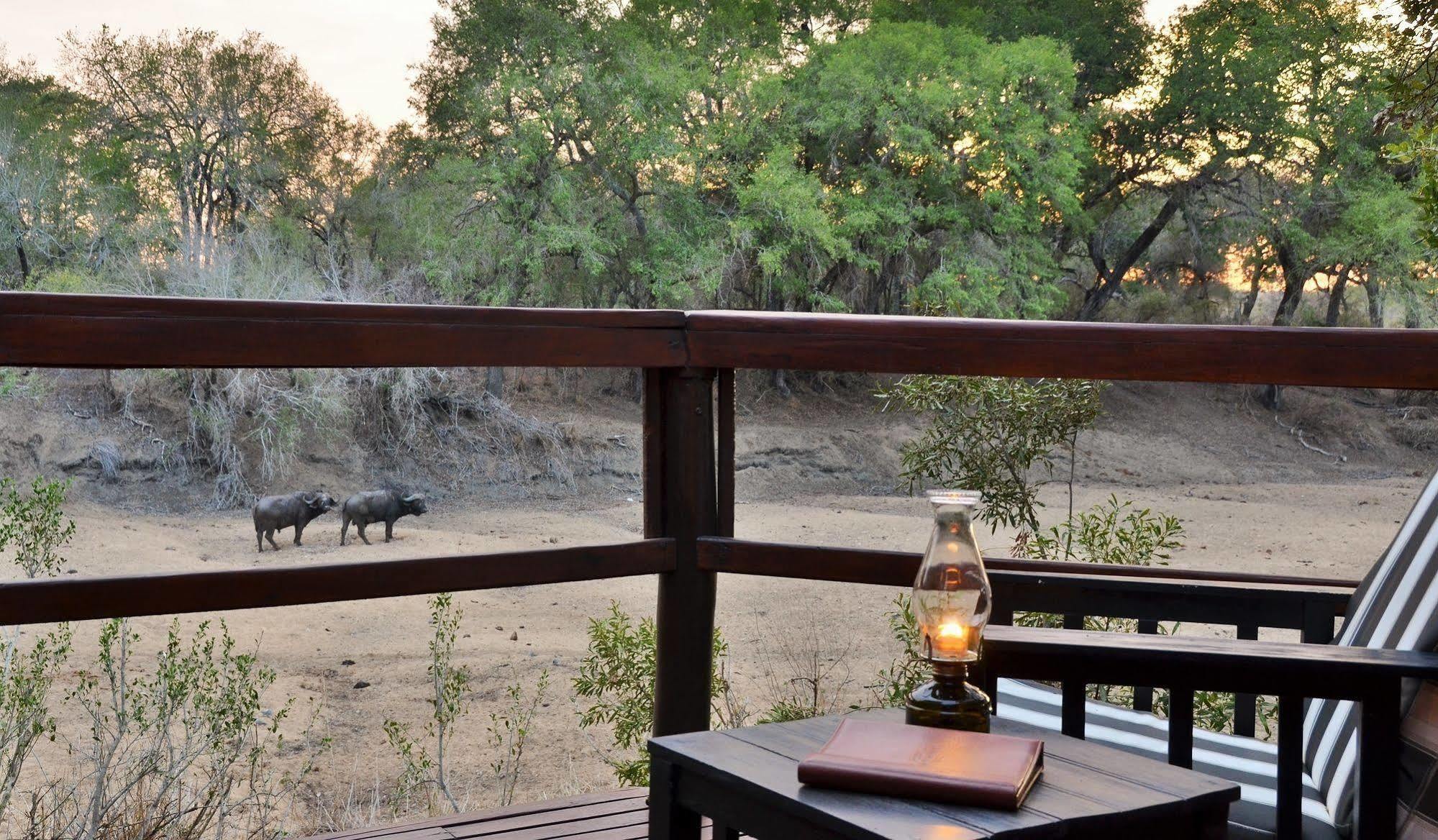 Hamiltons Tented Camp Mluwati Concession Buitenkant foto