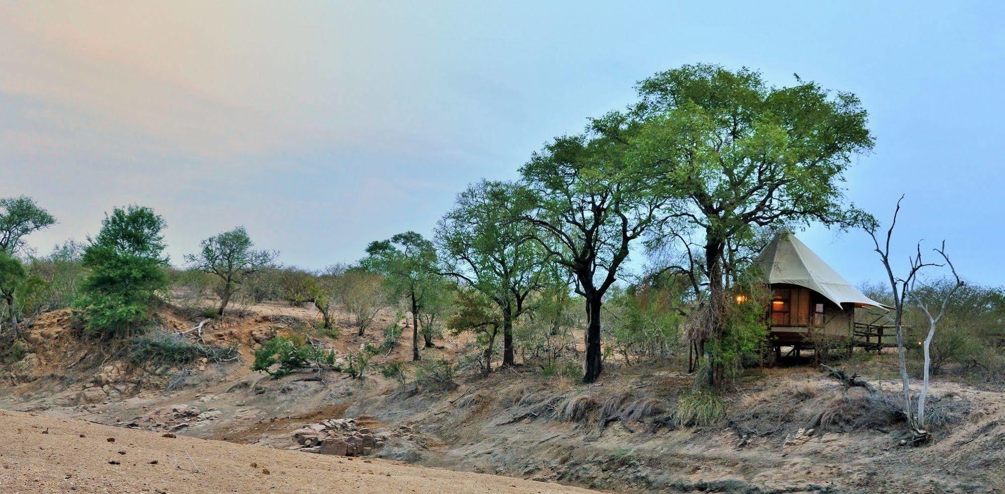 Hamiltons Tented Camp Mluwati Concession Buitenkant foto